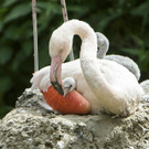 ABD0033-20130604.jpg