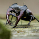 ABD0099-20130605.jpg