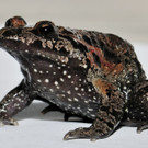 ABD0101-20130605.jpg