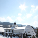 Lochau Winter Maerz 2010 _4__jpg-1267963428