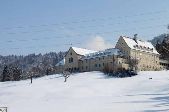 Lochau Winter Maerz 2010 _6__jpg-1267963456