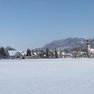 Lochau Winter Maerz 2010 _8__jpg-1267963479