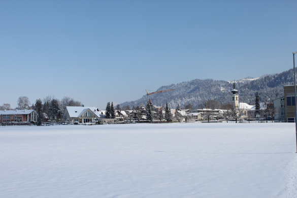 Lochau Winter Maerz 2010 _8__jpg-1267963479
