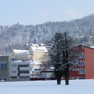 Lochau Winter Maerz 2010 _9__jpg-1267963494