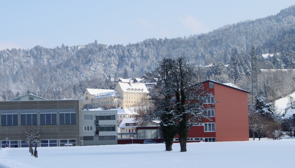 Lochau Winter Maerz 2010 _9__jpg-1267963494