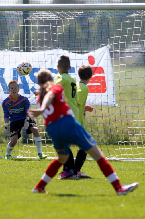 file6aeib5fj6mo8zvv5ebu_jpg-1370532506