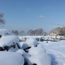 Lochau Winter Maerz 2010 _12__jpg-1267963533