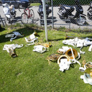 file6aeirtnt7qspzu0cebt_jpg-1370532617