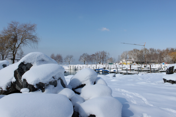 Lochau Winter Maerz 2010 _12__jpg-1267963533