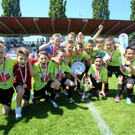 file6aeiwvgt5k11l4prvebt_jpg-1370532660