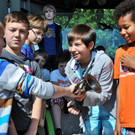 DSC_2608_jpg-1370532726