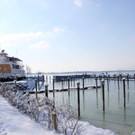 Lochau Winter Maerz 2010 _14__jpg-1267963564