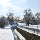 Lochau Winter Maerz 2010 _16__jpg-1267963606