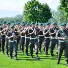 DSC_2703_jpg-1370532874