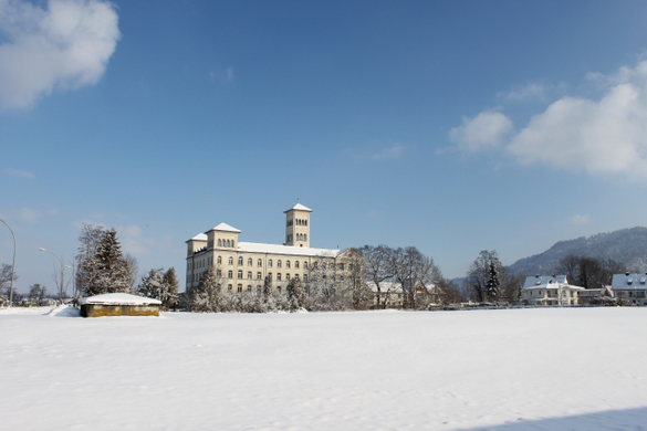 Lochau Winter Maerz 2010 _19__jpg-1267963651