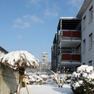 Lochau Winter Maerz 2010 _21__jpg-1267963679