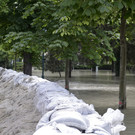 ABD0128-20130606.jpg