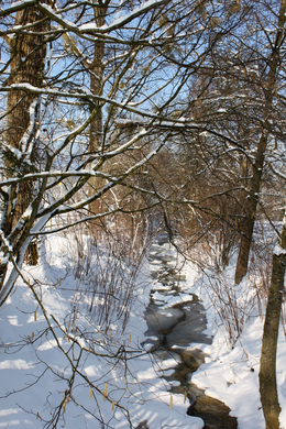 Lochau Winter Maerz 2010 _25__jpg-1267963765