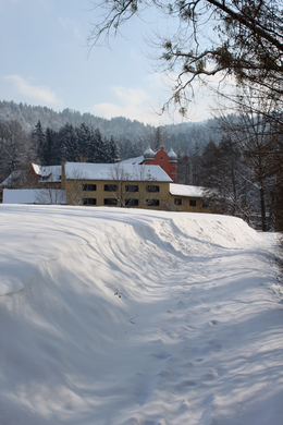 Lochau Winter Maerz 2010 _26__jpg-1267963782