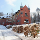 Lochau Winter Maerz 2010 _27__jpg-1267963803