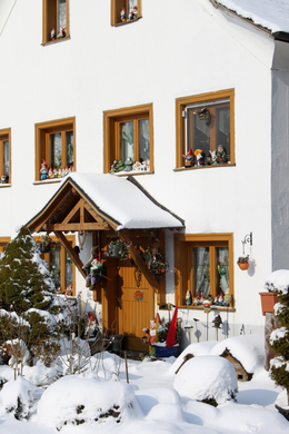 Lochau Winter Maerz 2010 _29__jpg-1267963835