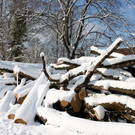 Lochau Winter Maerz 2010 _30__jpg-1267963859