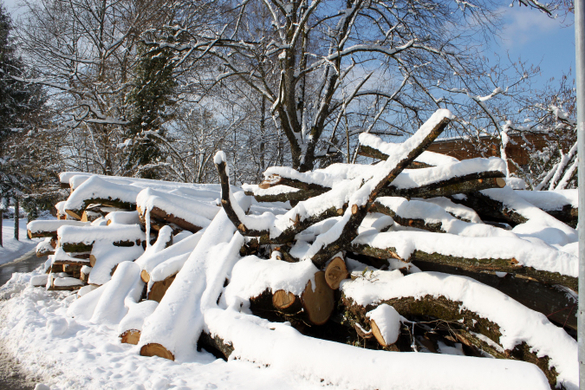 Lochau Winter Maerz 2010 _30__jpg-1267963859