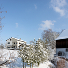 Lochau Winter Maerz 2010 _32__jpg-1267963906
