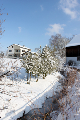Lochau Winter Maerz 2010 _32__jpg-1267963906