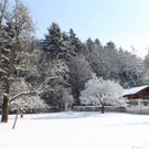 Lochau Winter Maerz 2010 _33__jpg-1267963927