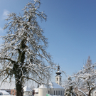 Lochau Winter Maerz 2010 _34__jpg-1267963947