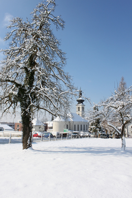 Lochau Winter Maerz 2010 _34__jpg-1267963947