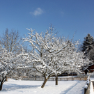 Lochau Winter Maerz 2010 _35__jpg-1267963967