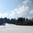 Lochau Winter Maerz 2010 _39__jpg-1267964040