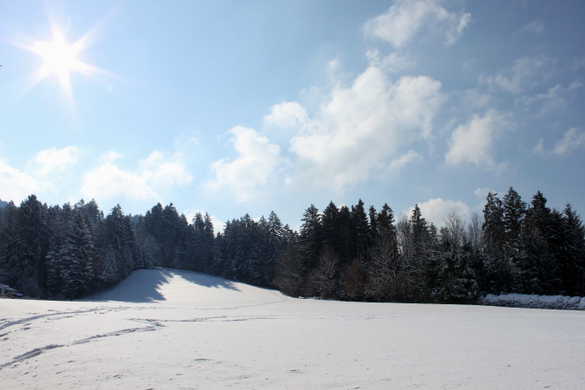 Lochau Winter Maerz 2010 _39__jpg-1267964040