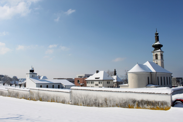 Lochau Winter Maerz 2010 _41__jpg-1267964062