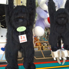 2013-06-06 16_57_18_jpg-1370616316