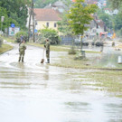 Melk Schoenbuehel _33_.jpg