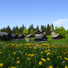 DSC0406.JPG