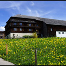 DSC04612.JPG