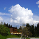 DSC0493.JPG