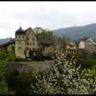 DSC05509.JPG