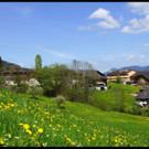 DSC05645.JPG
