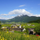 DSC06103.JPG