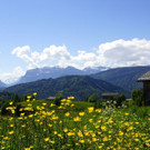 DSC06130.JPG