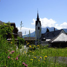 DSC06148.JPG