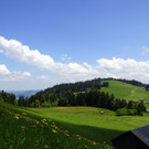 DSC06195.JPG