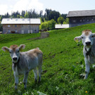 DSC06205.JPG