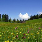 DSC06219.JPG