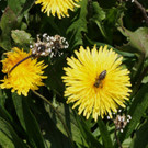 DSC06228.JPG